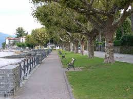 Photo 53