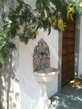 Photo 39